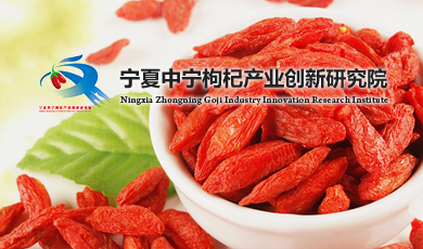 寧夏中寧枸杞產(chǎn)業(yè)創(chuàng)新研究院有限公司